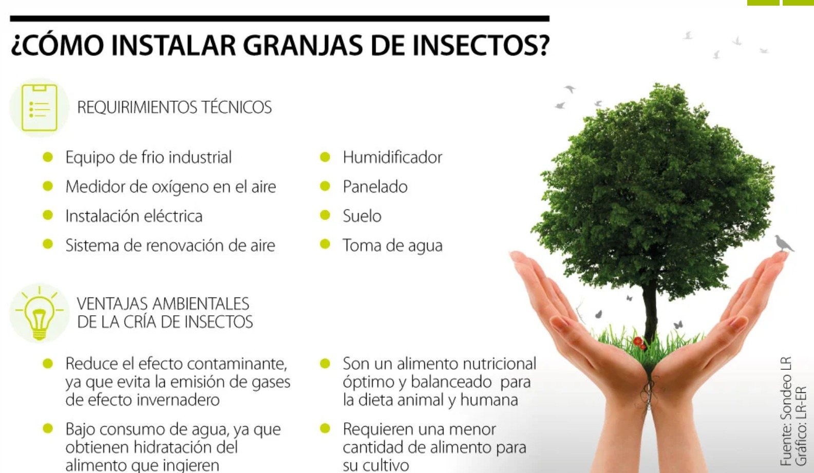 Como sacarle provecho a los insectos en los cultivos - Futuagro