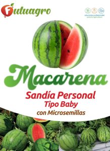 Semillas de sandía tipo baby Macarena con microsemillas y alto rendimiento